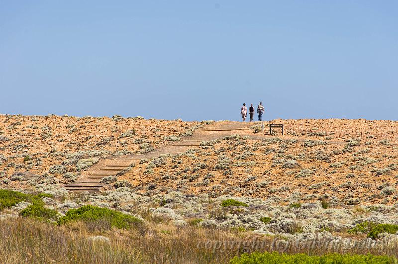 Petrified forest, Cape Bridgewater IMGP4855.jpg